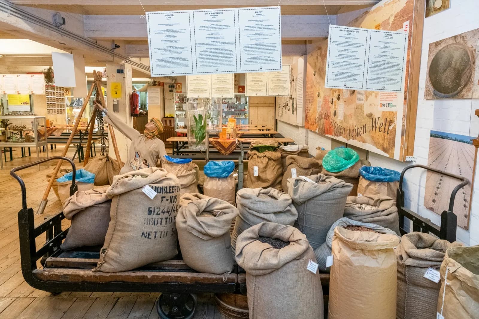 Spicy's Gewürzmuseum 2