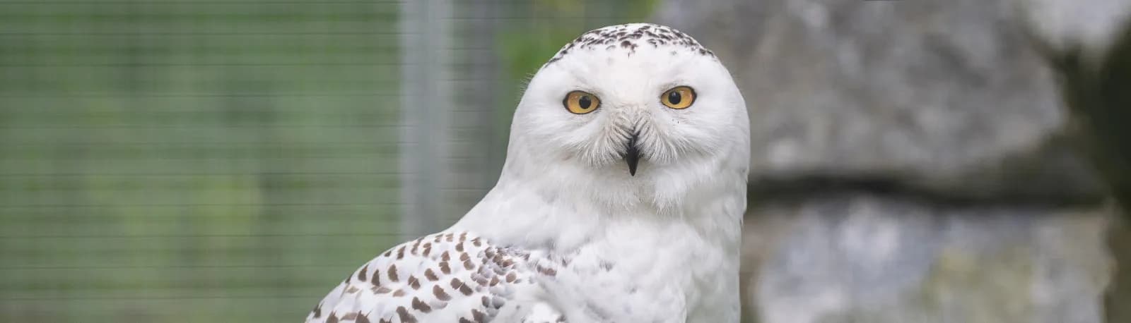 Wild- und Freizeitpark Höllohe 3