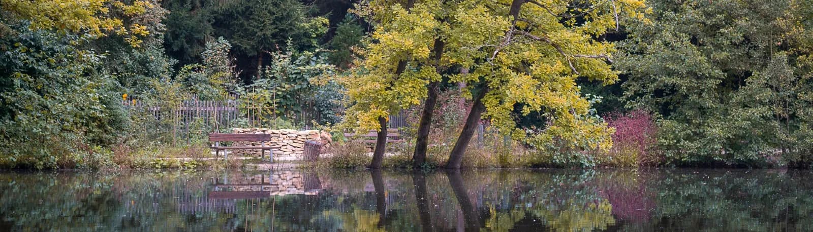 Wild- und Freizeitpark Höllohe 2