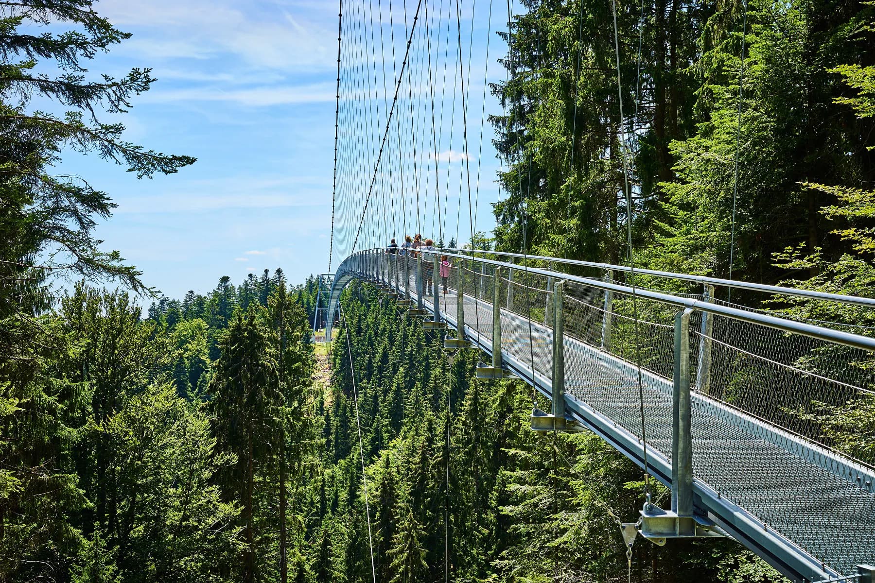 WILDLINE Hängebrücke 3