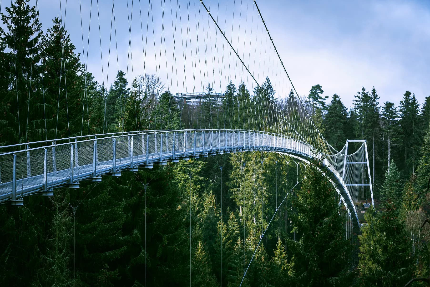 WILDLINE Hängebrücke 1