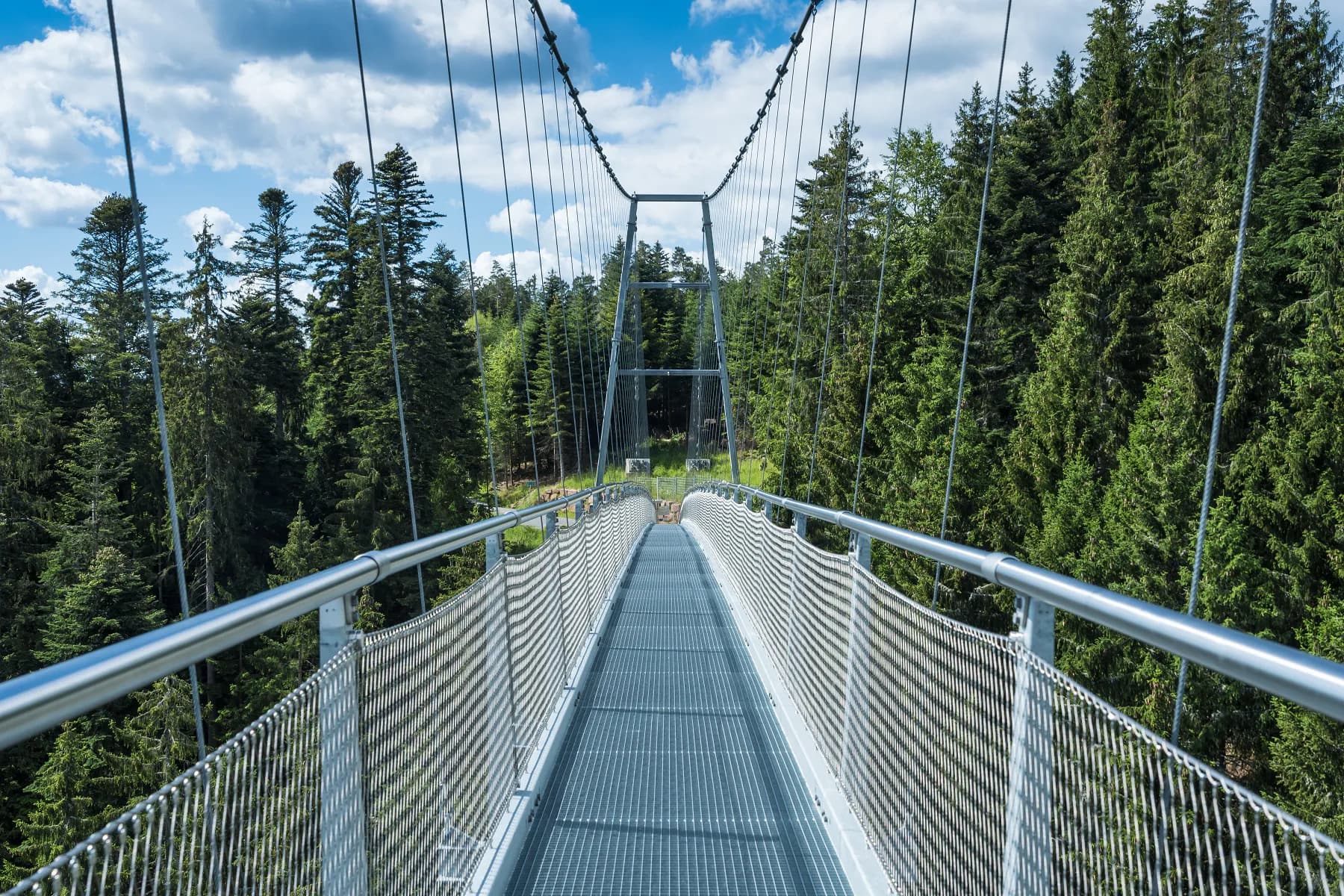 WILDLINE Hängebrücke 2