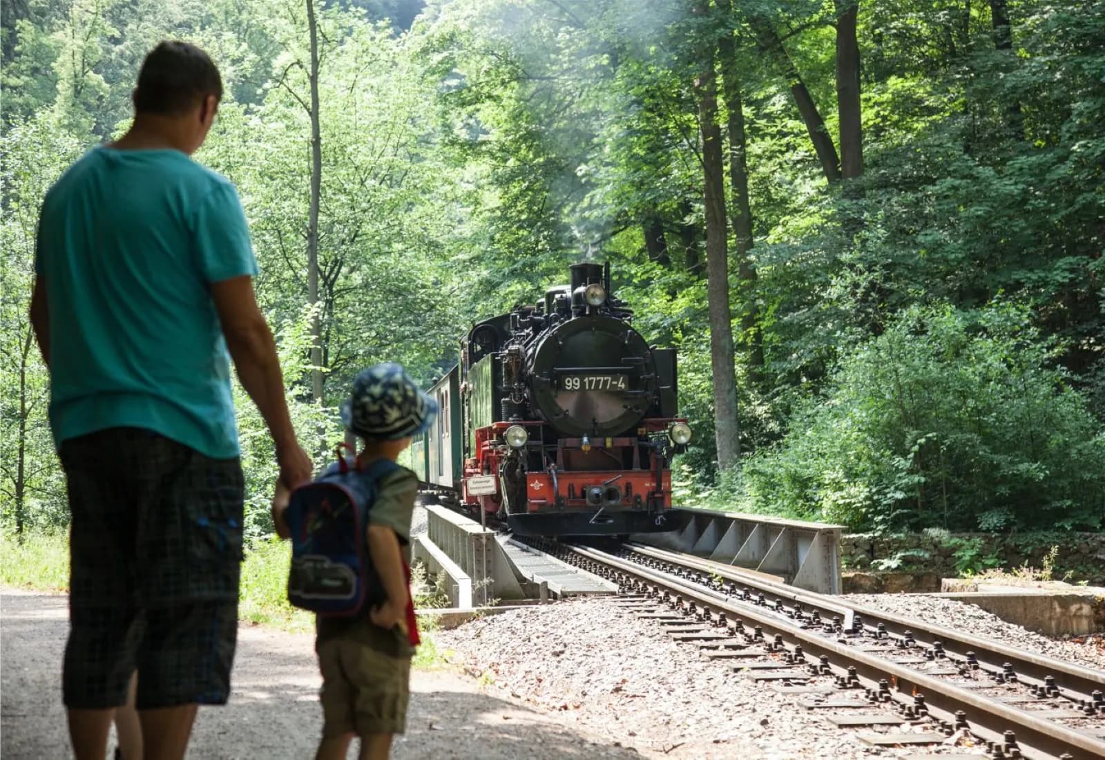 Weißeritztalbahn 1