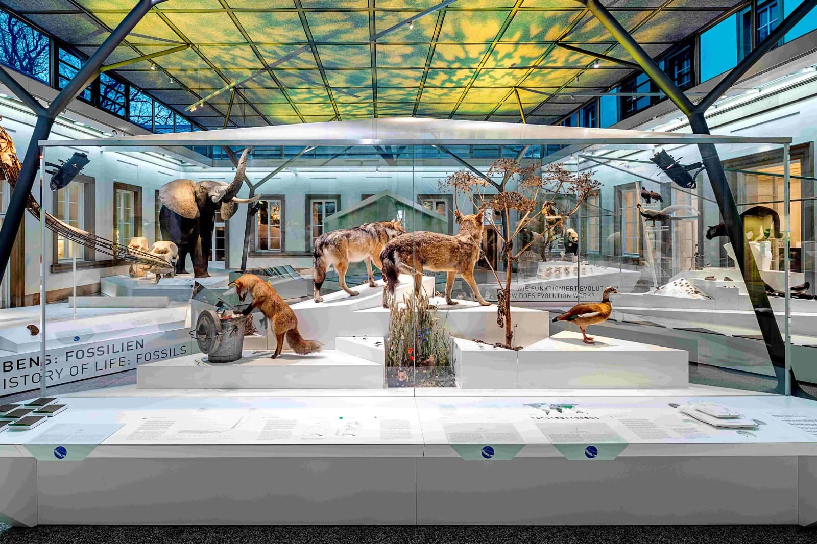 Naturkundemuseum Stuttgart – Schloss Rosenstein 1