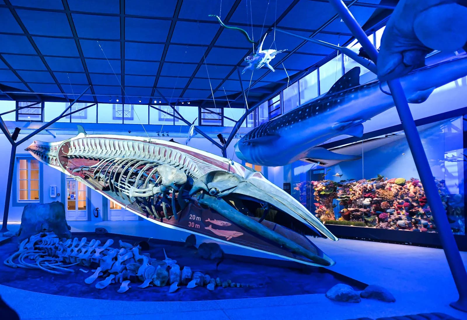 Naturkundemuseum Stuttgart – Schloss Rosenstein 2
