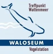 Waloseum logo