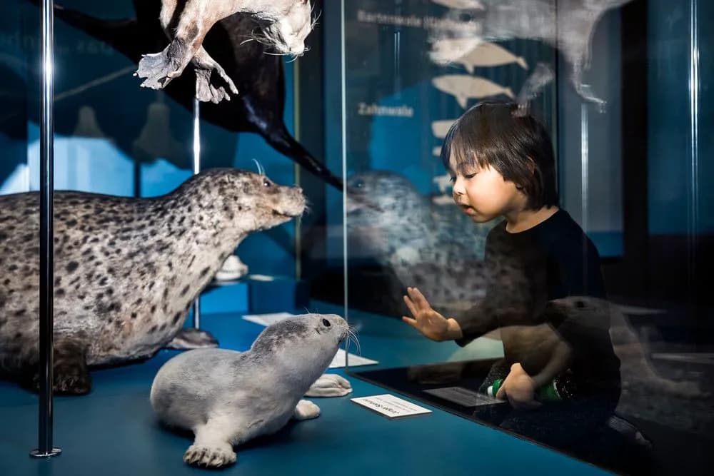 Museum der Natur Hamburg – Zoologie 5