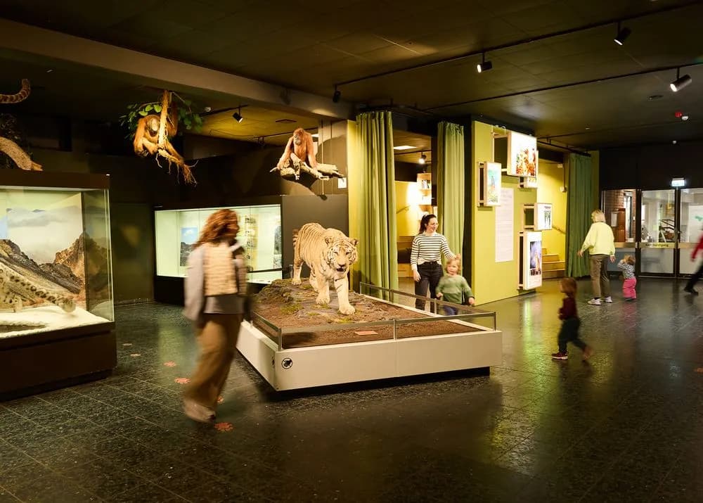 Museum der Natur Hamburg – Zoologie 6