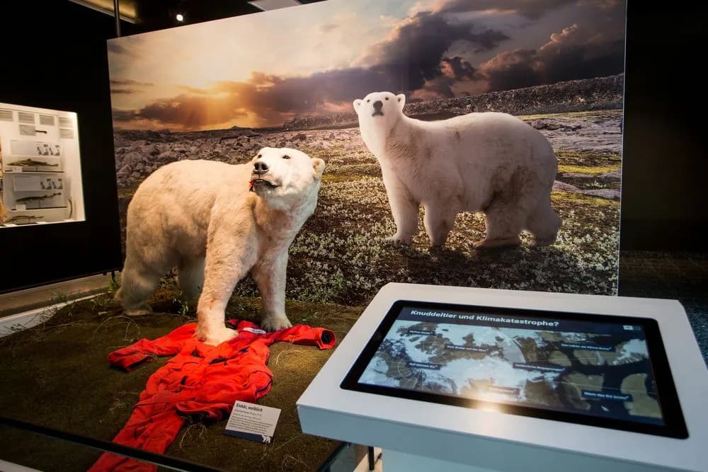 Museum der Natur Hamburg – Zoologie 2