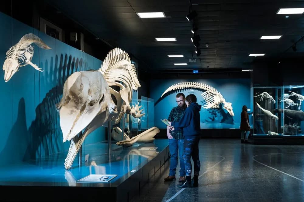 Museum der Natur Hamburg – Zoologie 1