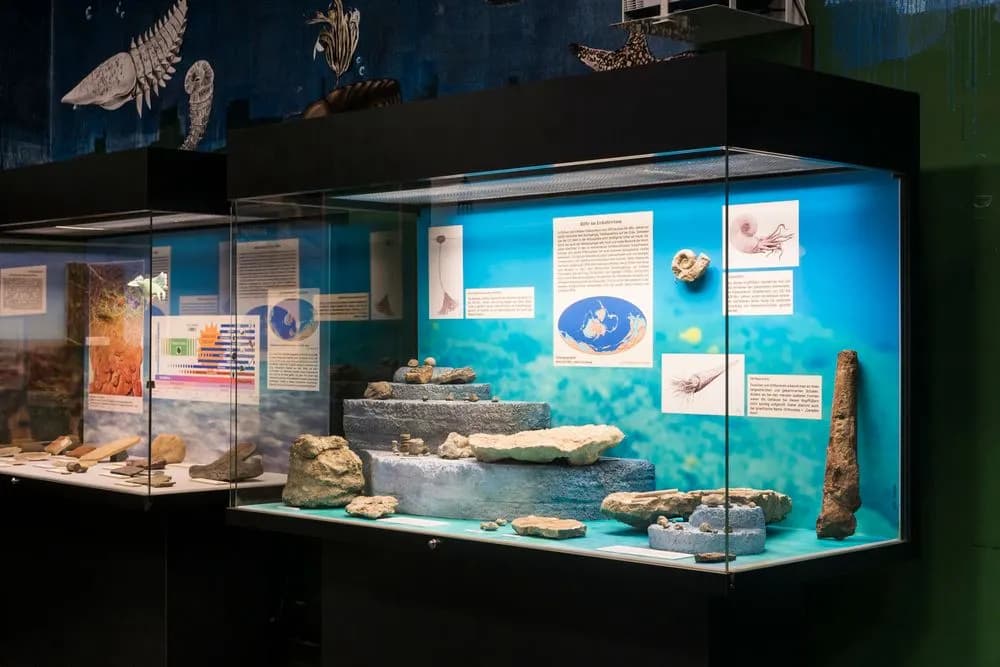 Museum der Natur Hamburg – Geologie-Paläontologie 3