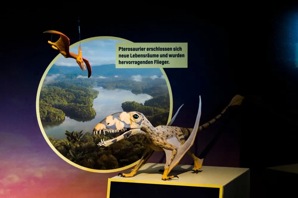 Museum der Natur Hamburg – Geologie-Paläontologie 8