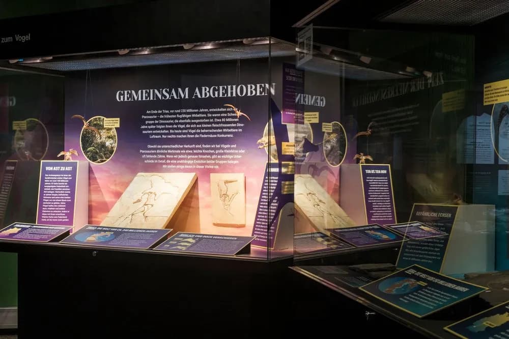 Museum der Natur Hamburg – Geologie-Paläontologie 6