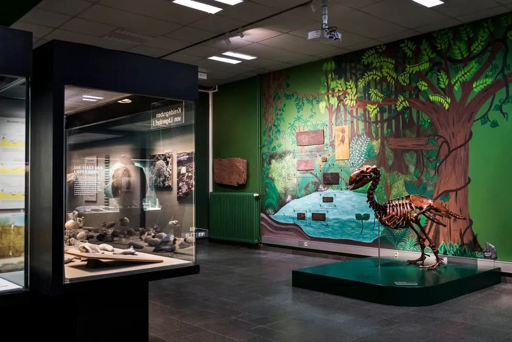 Museum der Natur Hamburg – Geologie-Paläontologie 2