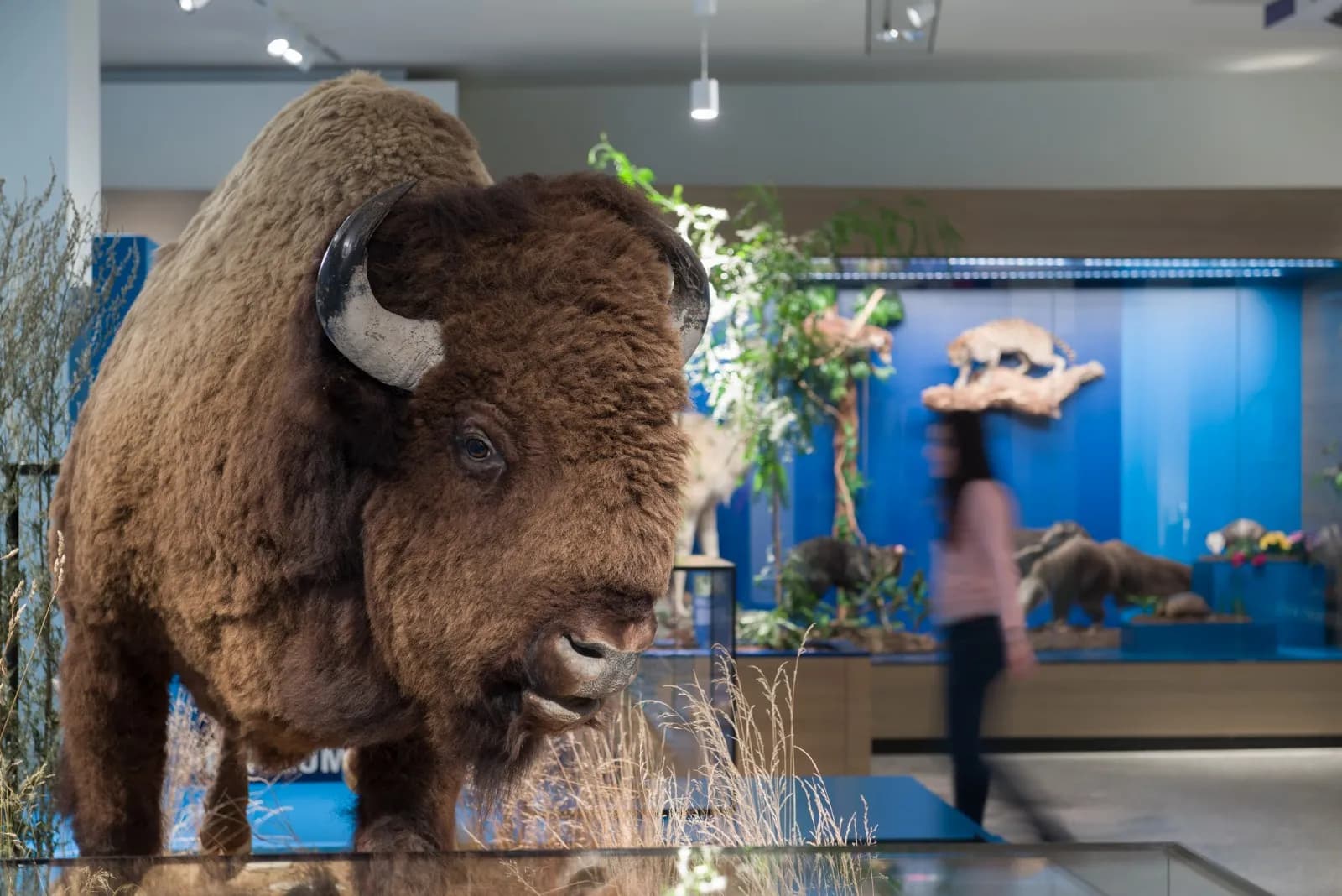 Übersee-Museum Bremen 6