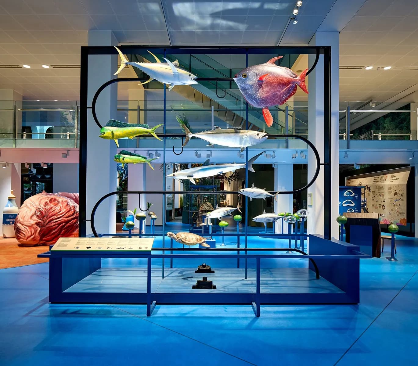 Übersee-Museum Bremen 8