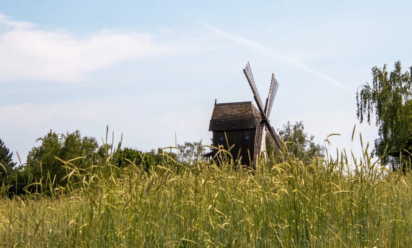 Internationales Mühlenmuseum Gifhorn 5
