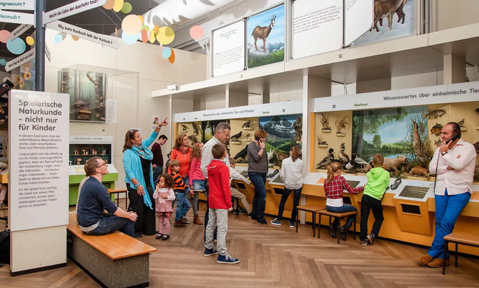 Museum Mensch und Natur 8