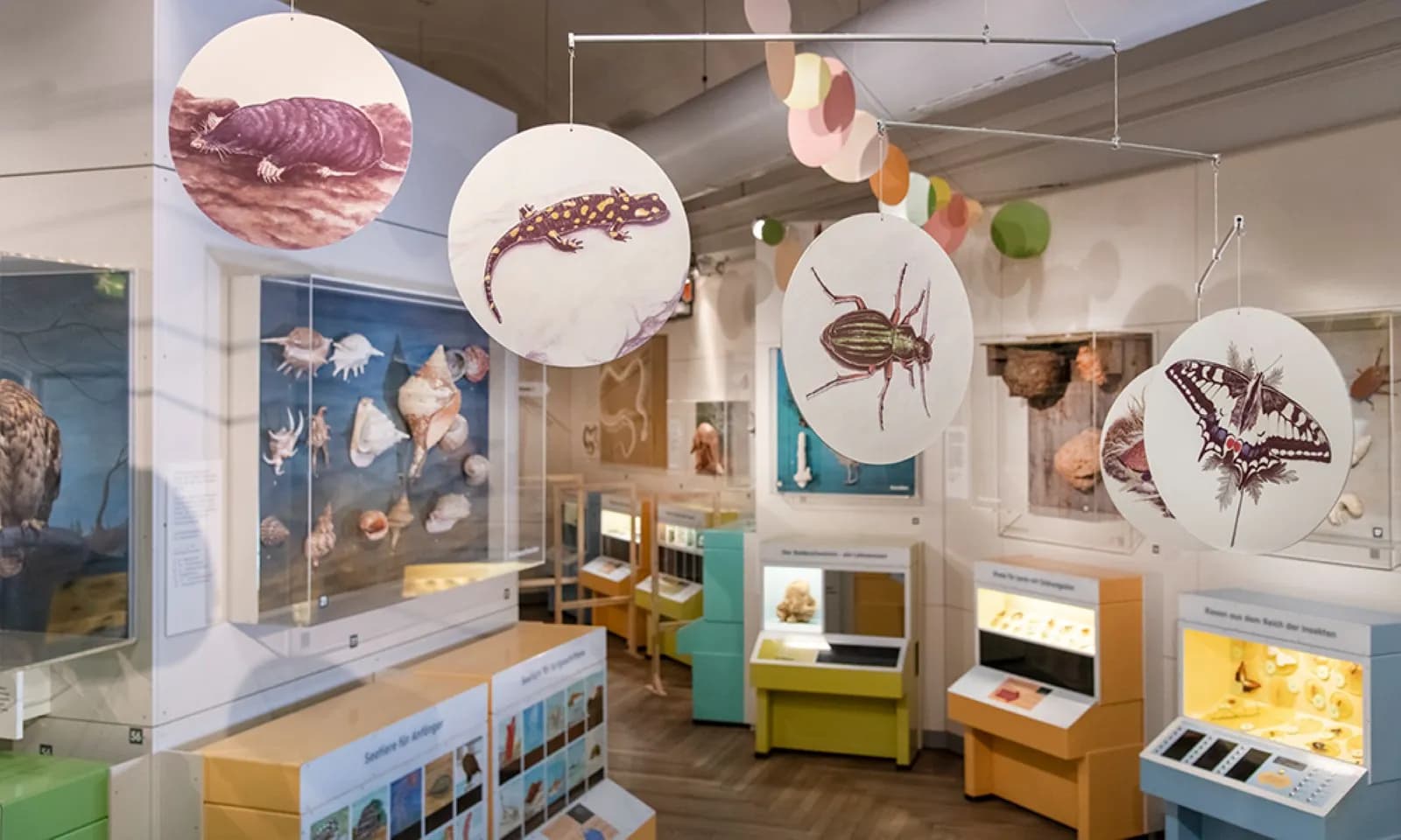 Museum Mensch und Natur 2