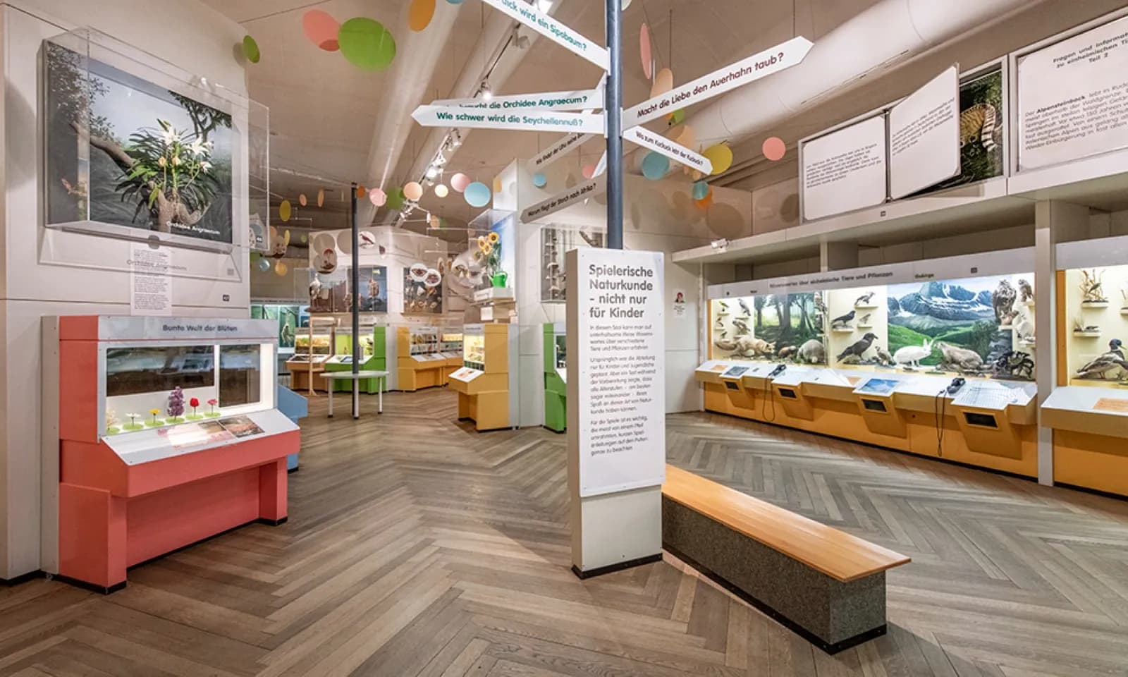 Museum Mensch und Natur 1