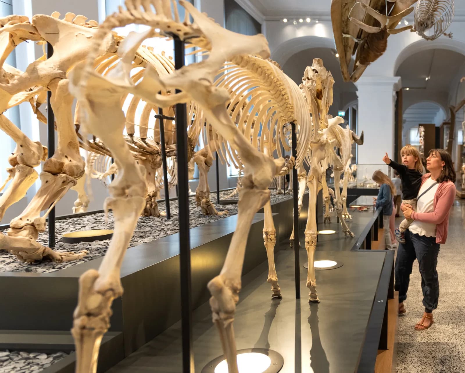 Hessisches Landesmuseum Darmstadt 1
