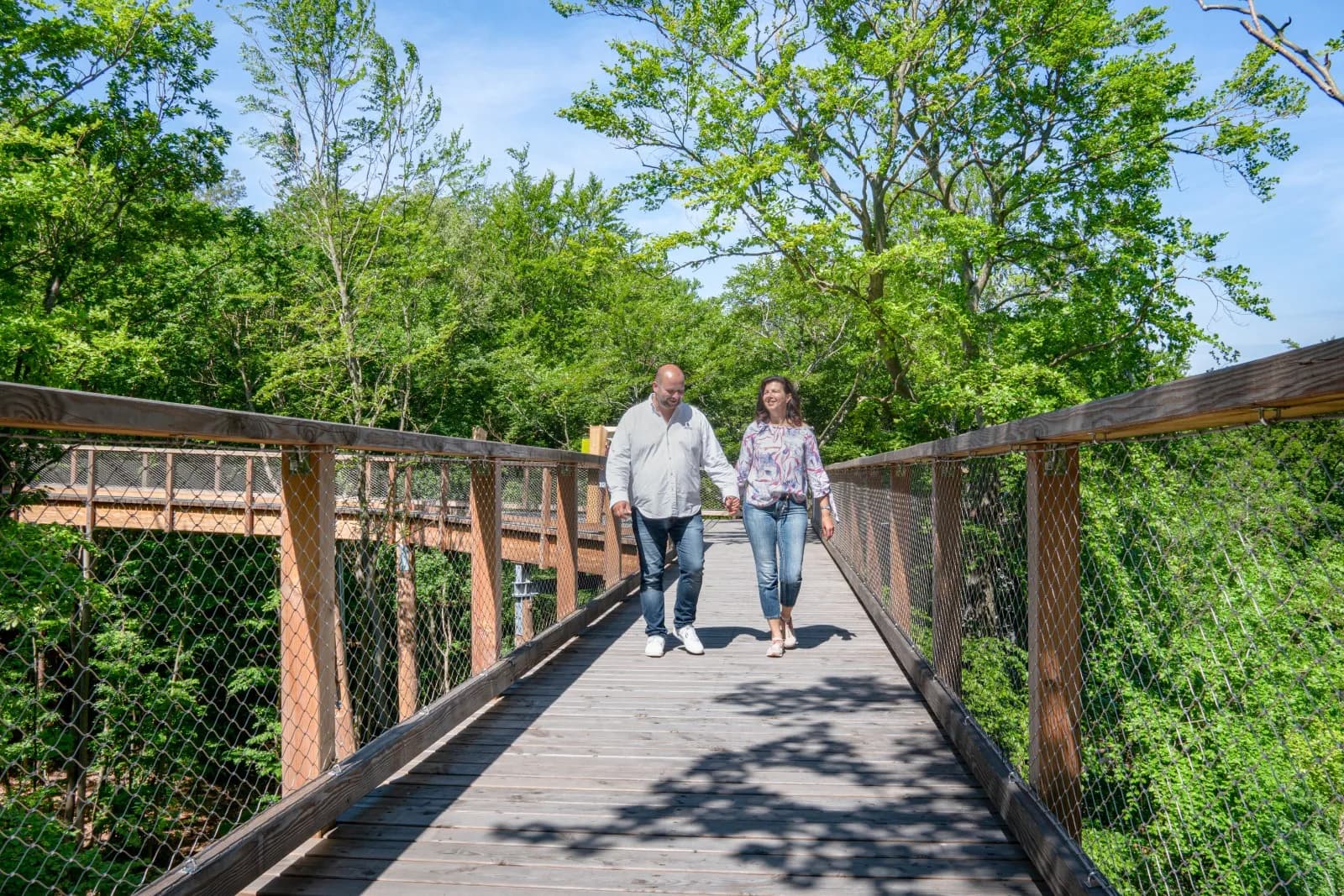 Baumwipfelpfad Usedom 3