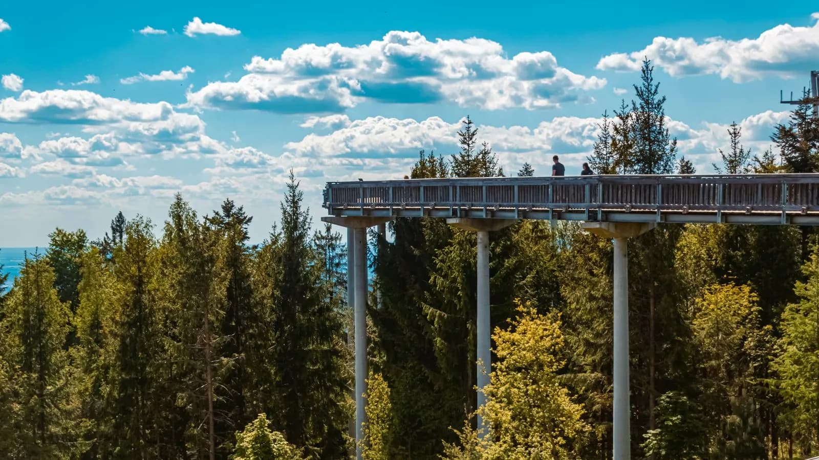 Waldwipfelweg Sankt Englmar 1