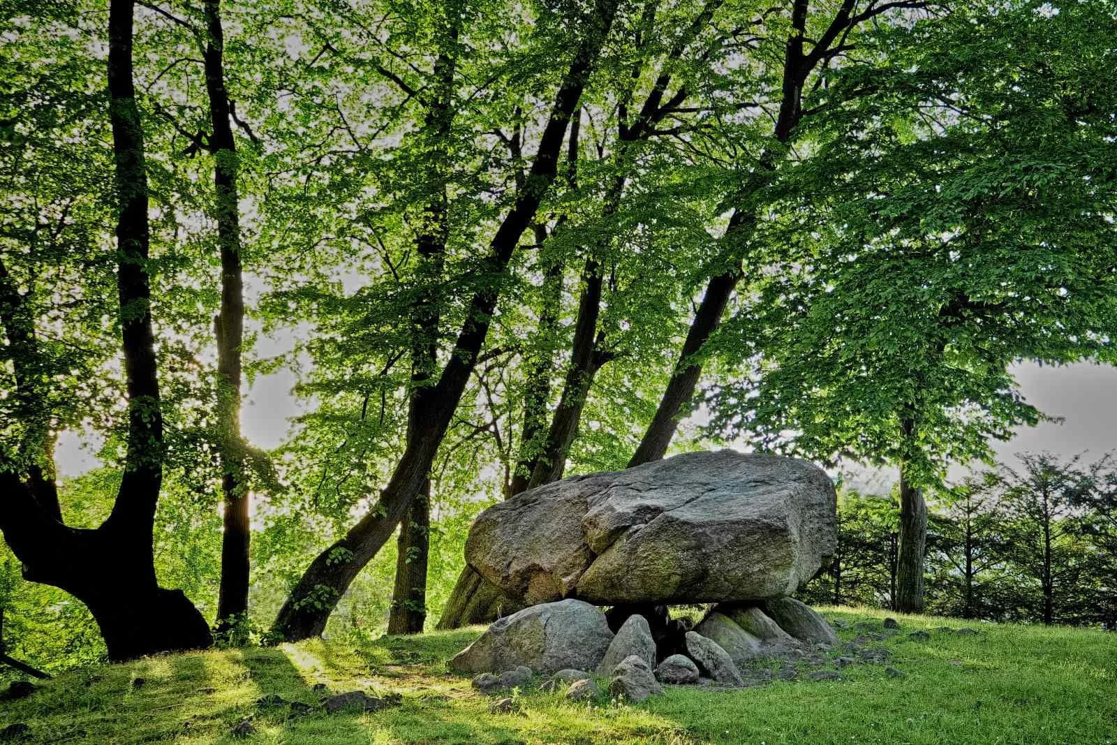 Steinzeitpark Dithmarschen 6