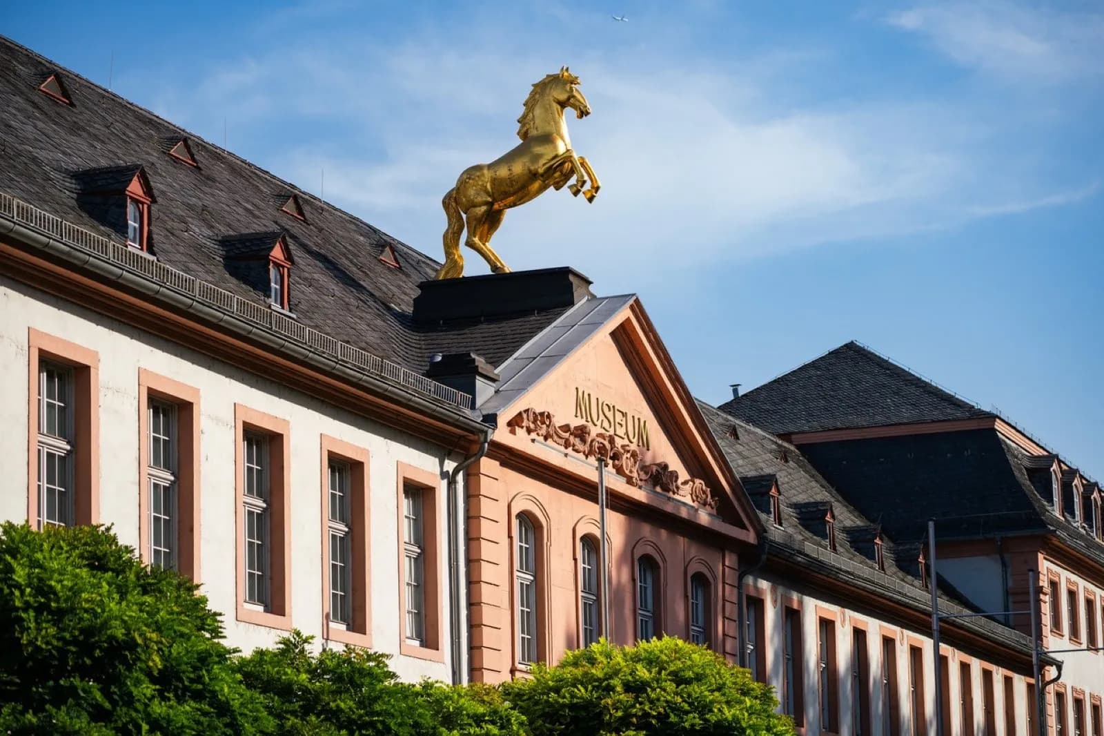 Landesmuseum Mainz 7