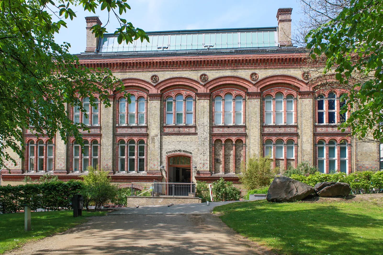 Zoologisches Museum Kiel 3