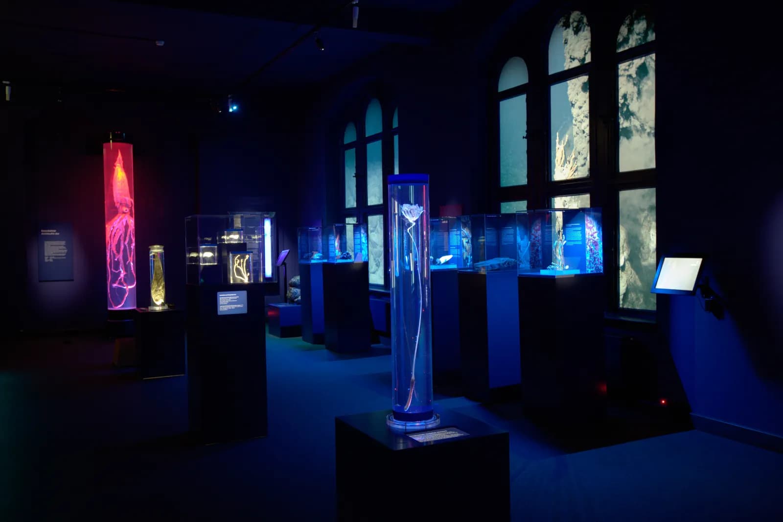 Zoologisches Museum Kiel 5