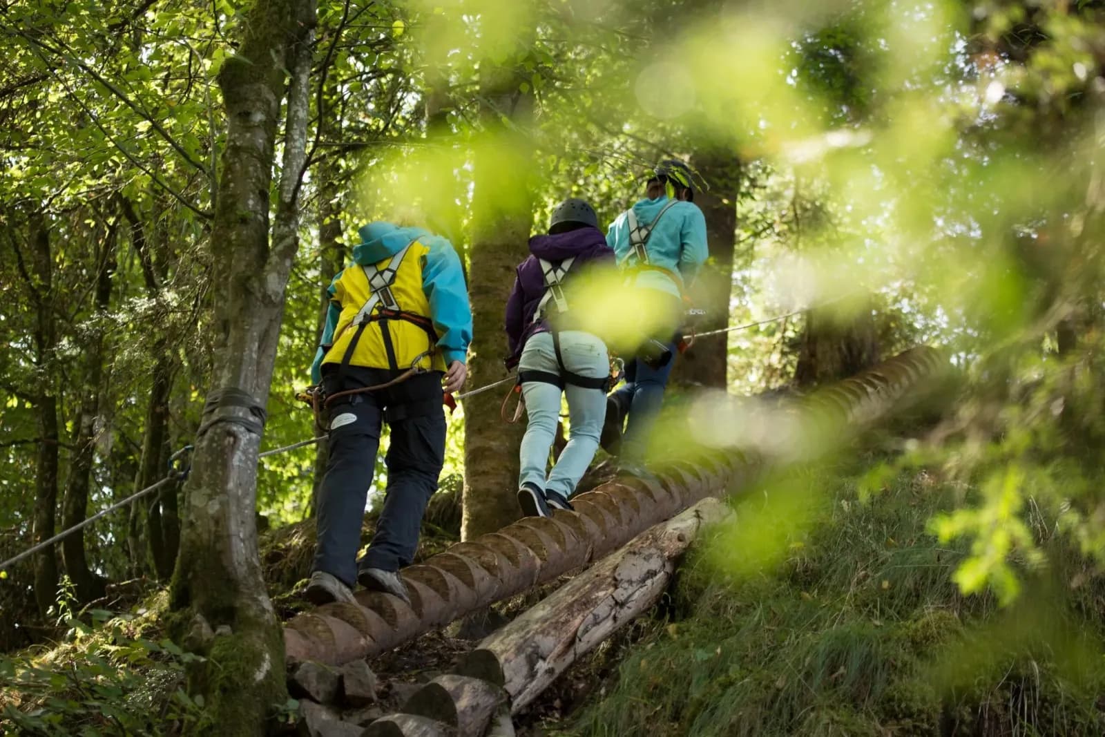 Hirschgrund Zipline Area Schwarzwald 3