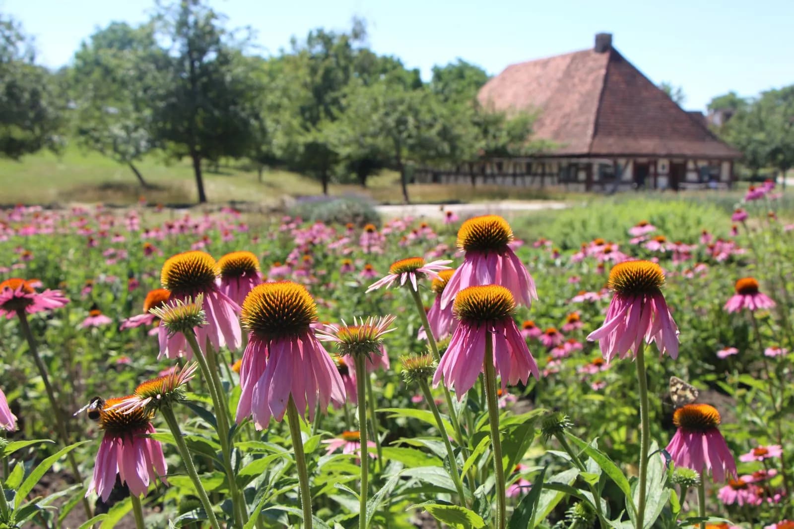 Fränkisches Freilandmuseum 3