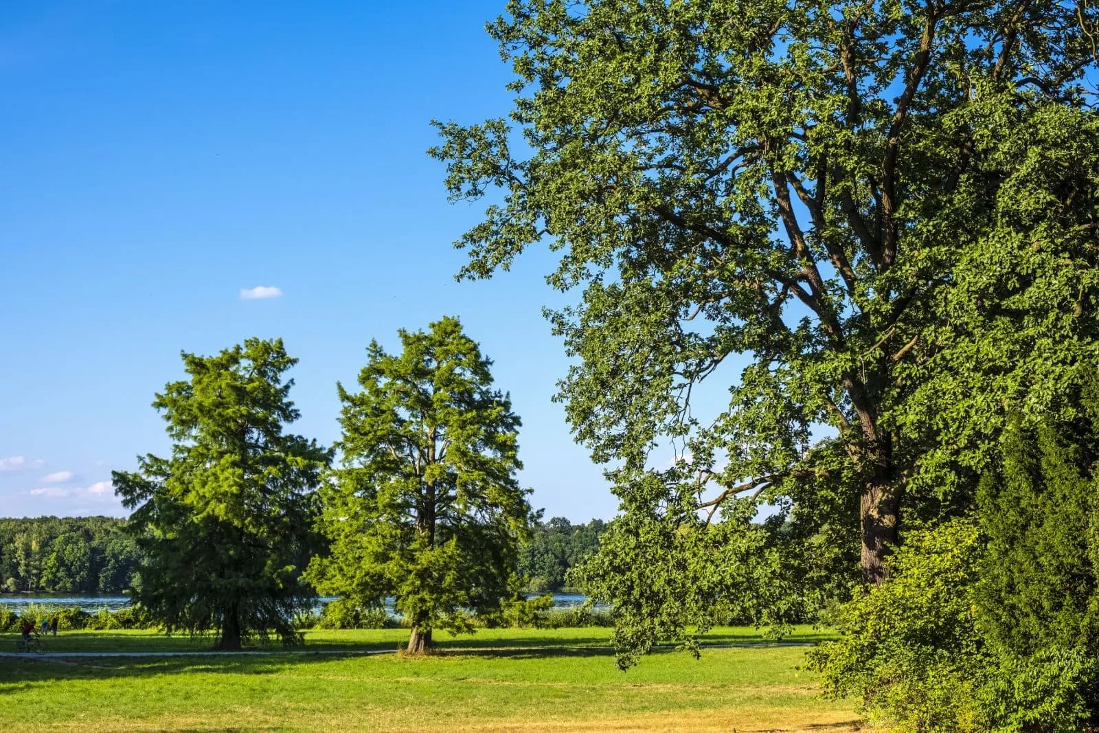 Neuer Garten Potsdam 2