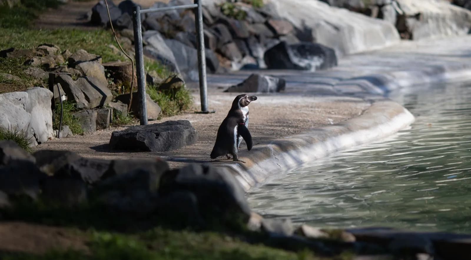 Zoo Neuwied