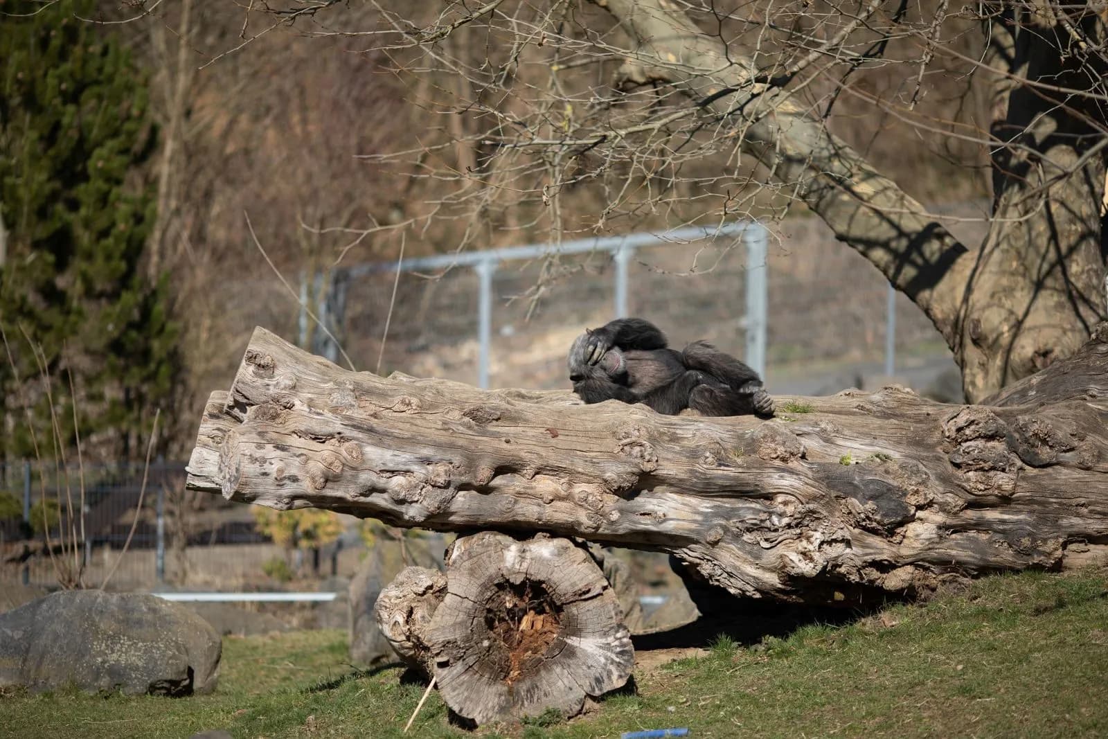 Zoo Neuwied 2