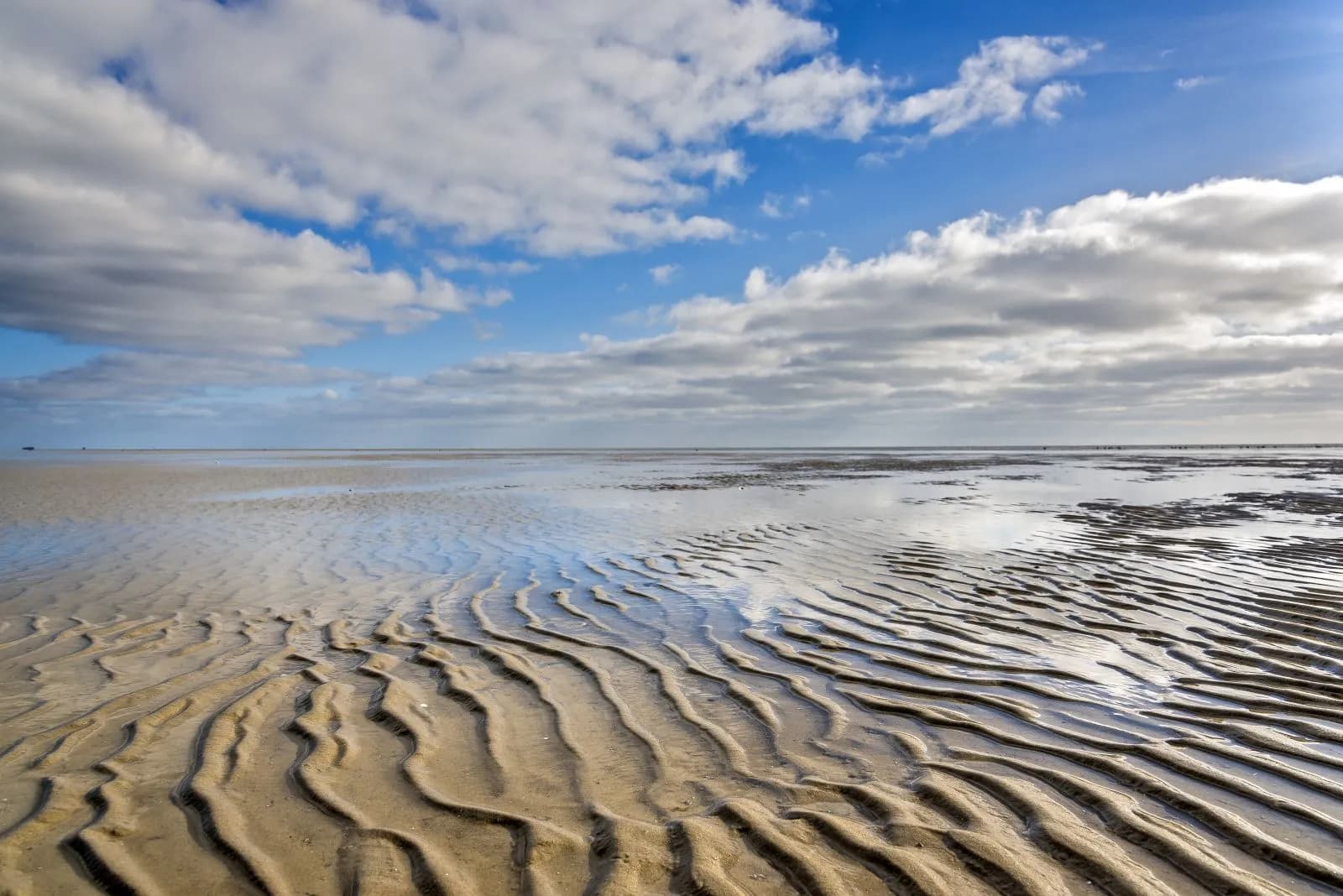 Nationalpark Schleswig-Holsteinisches Wattenmeer 3