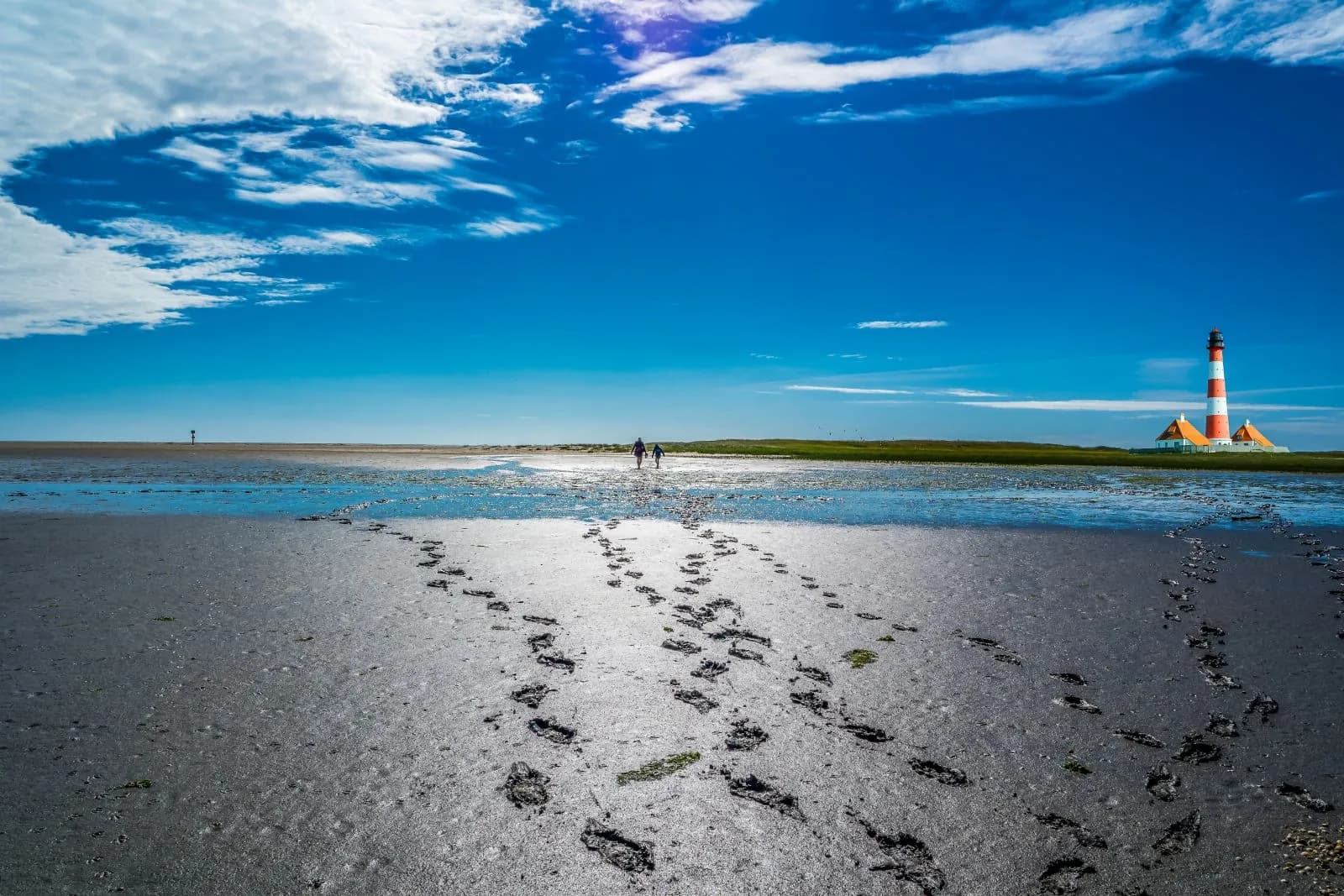 Nationalpark Schleswig-Holsteinisches Wattenmeer 4