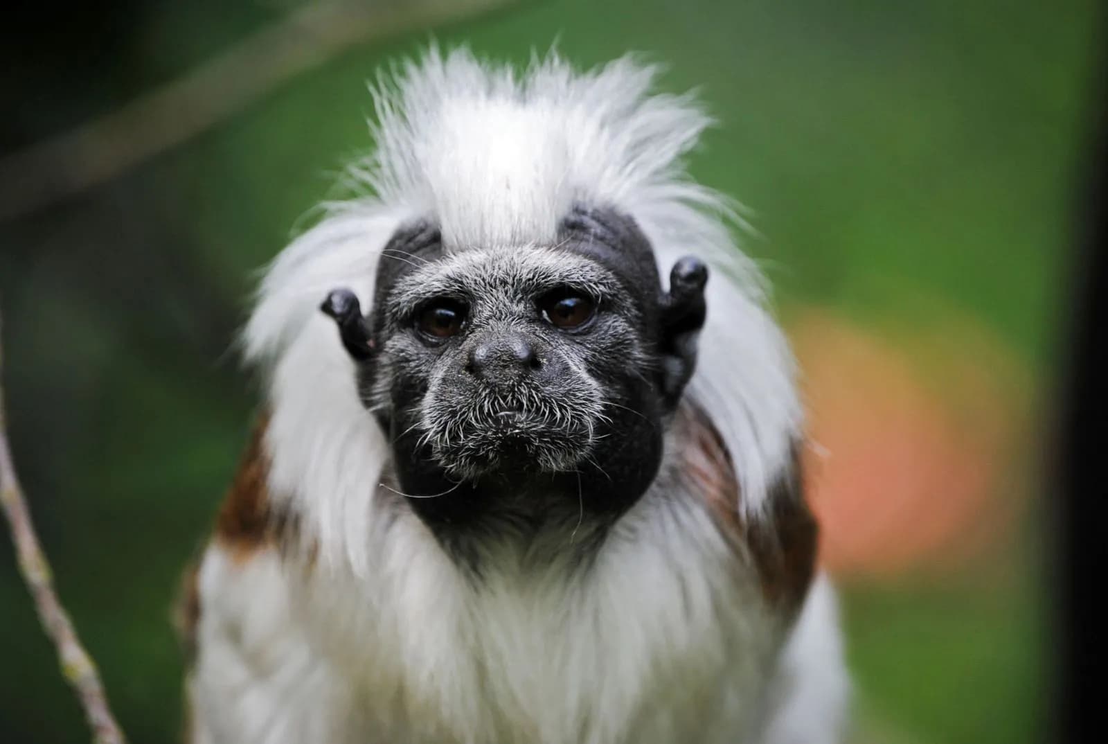 Vogelpark Marlow 3