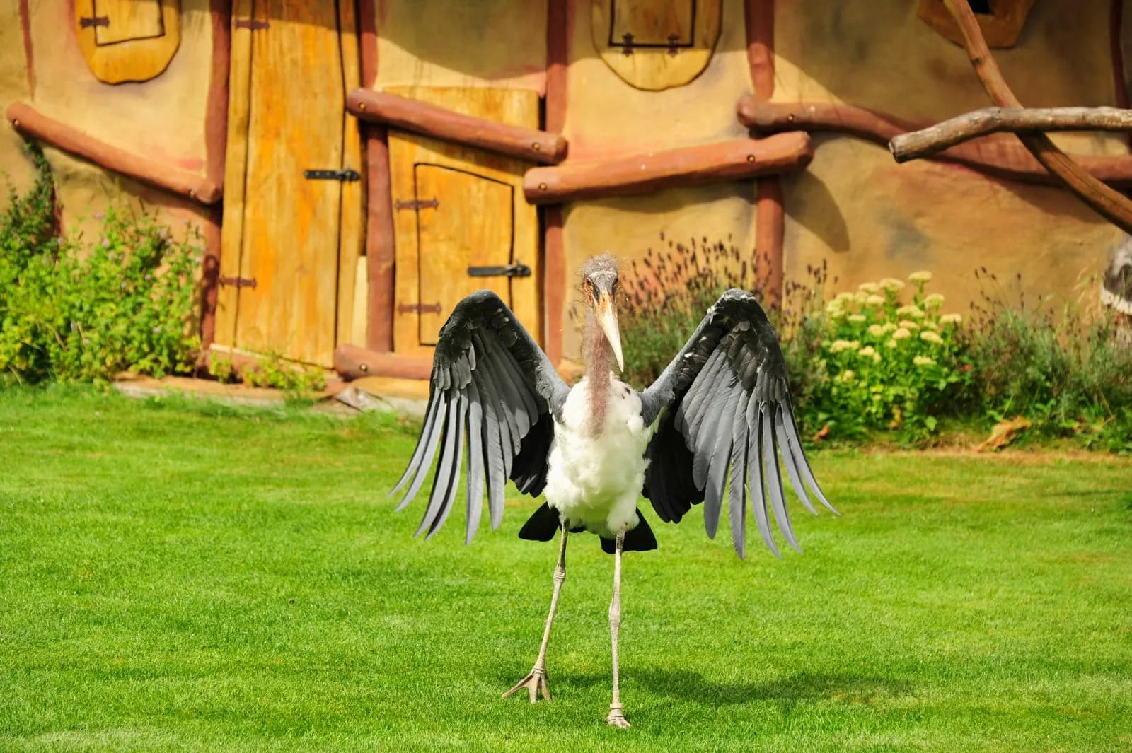 Vogelpark Marlow 4