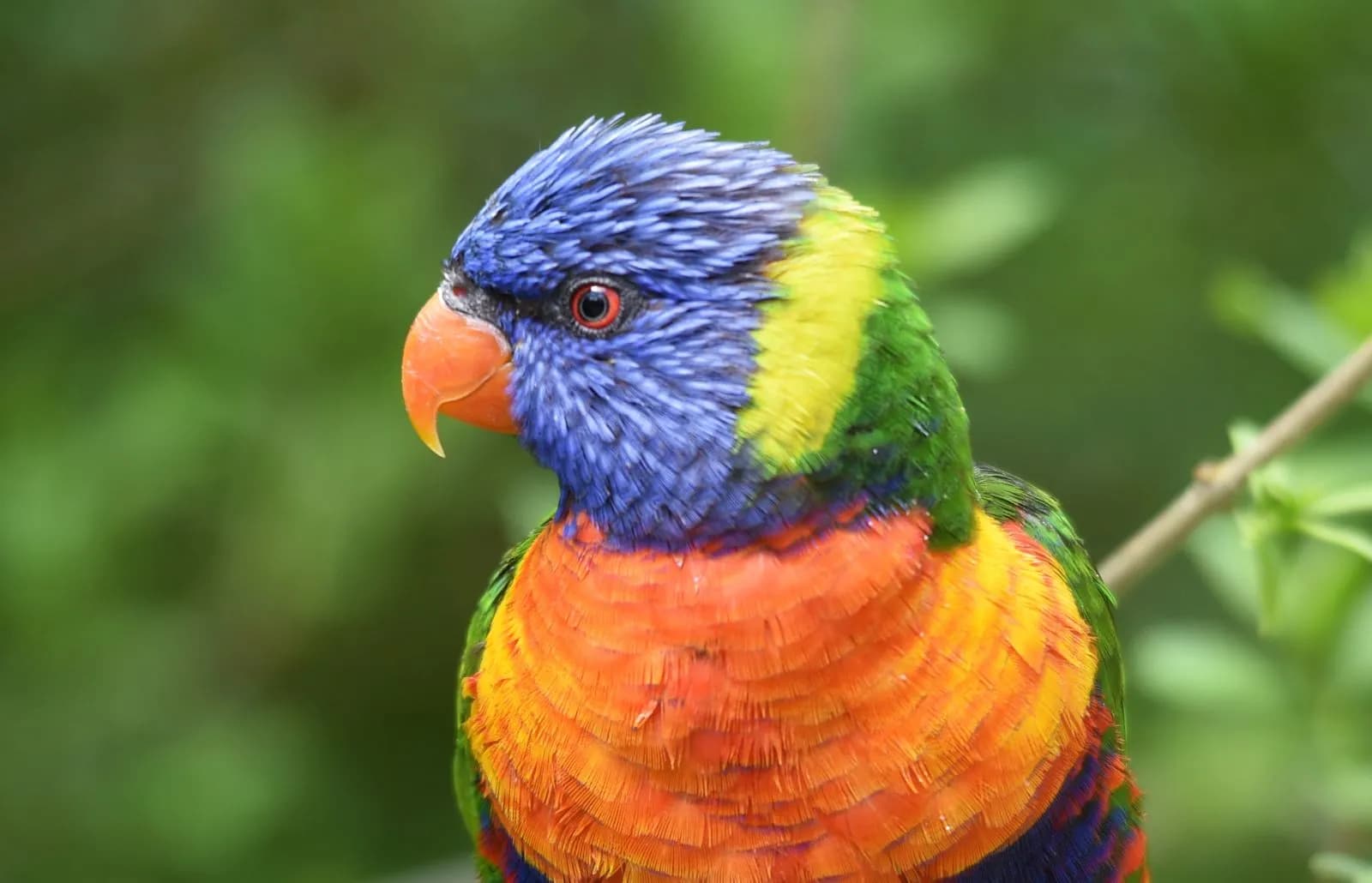 Vogelpark Marlow 1