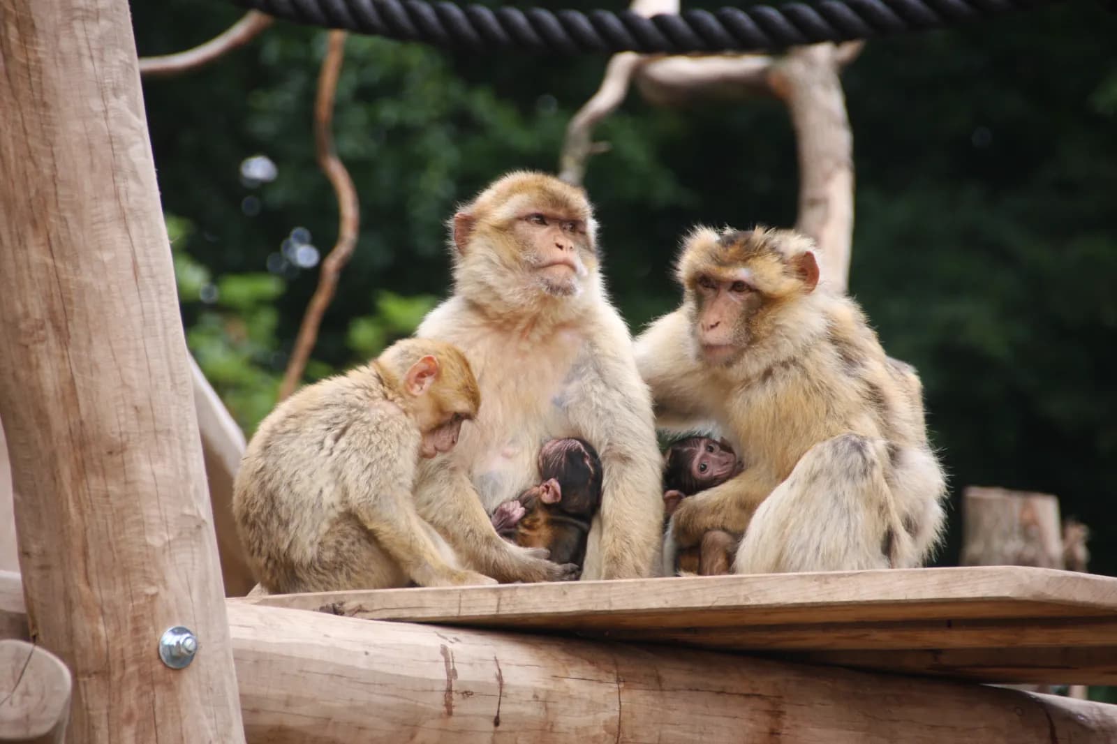 Tierpark Gettorf 1