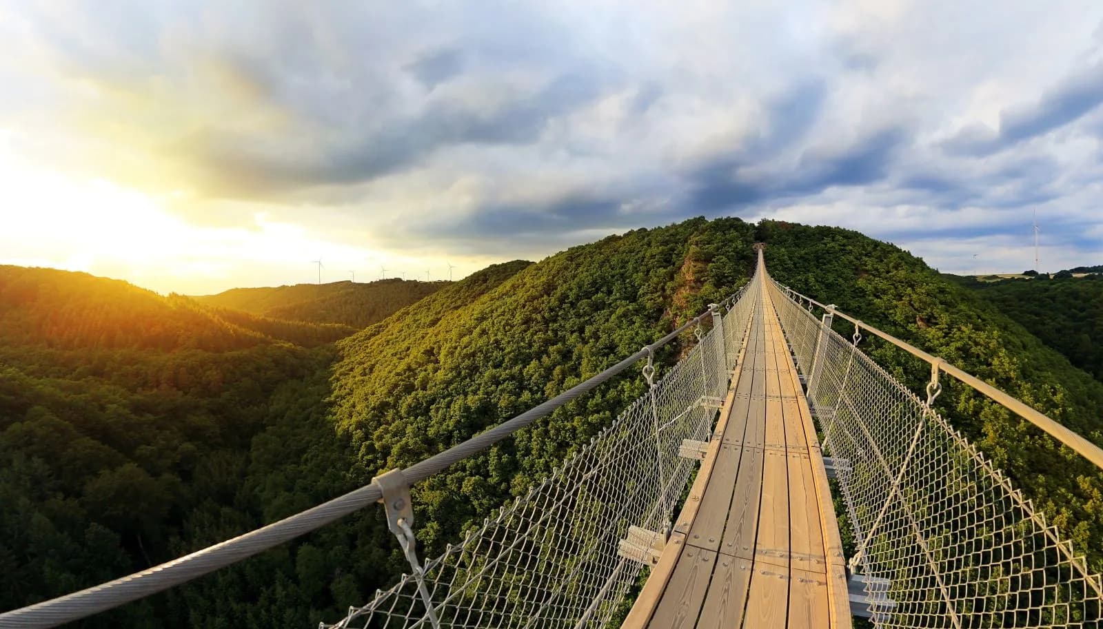 Hängeseilbrücke Geierlay 3
