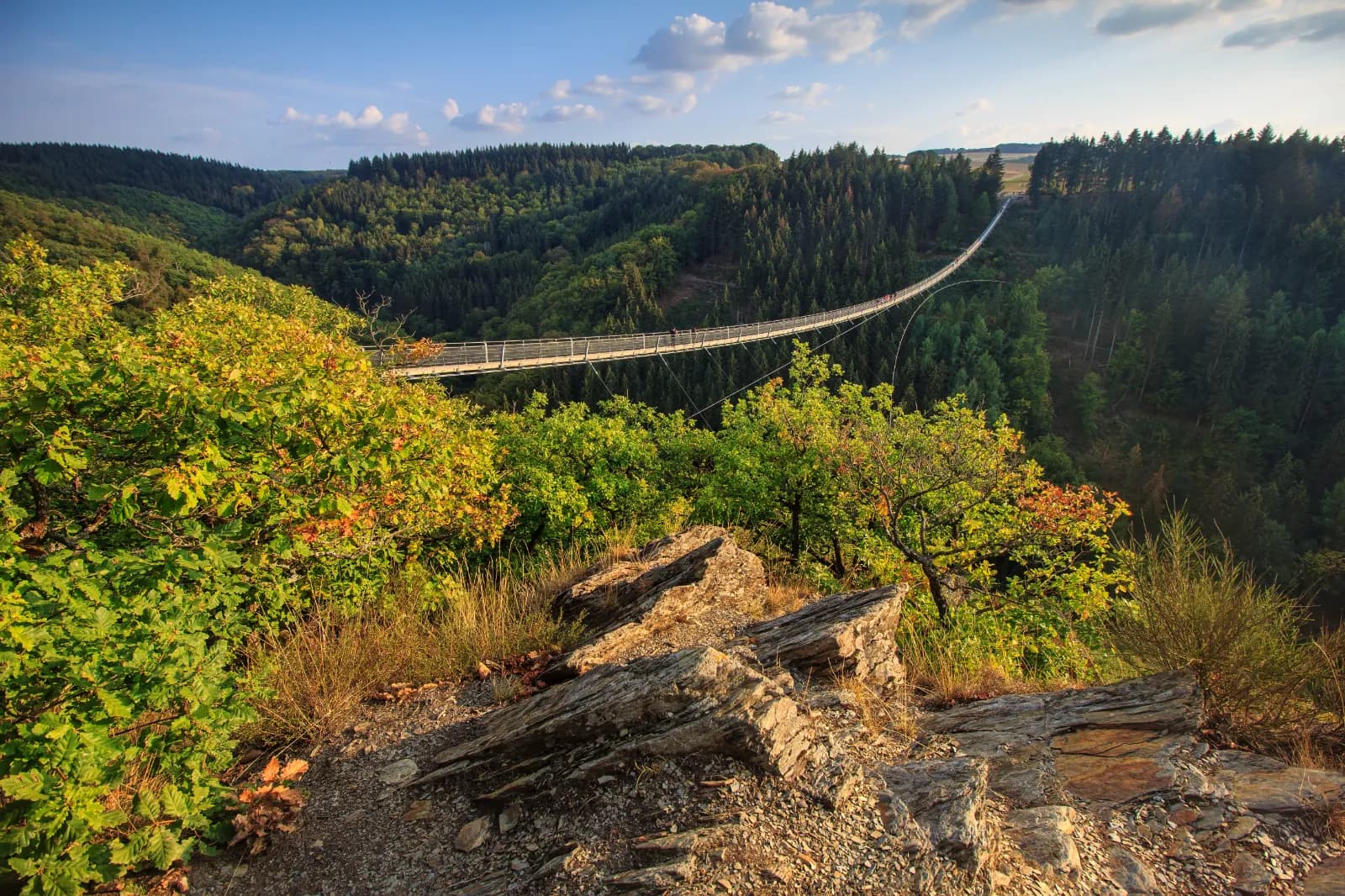 Hängeseilbrücke Geierlay 4