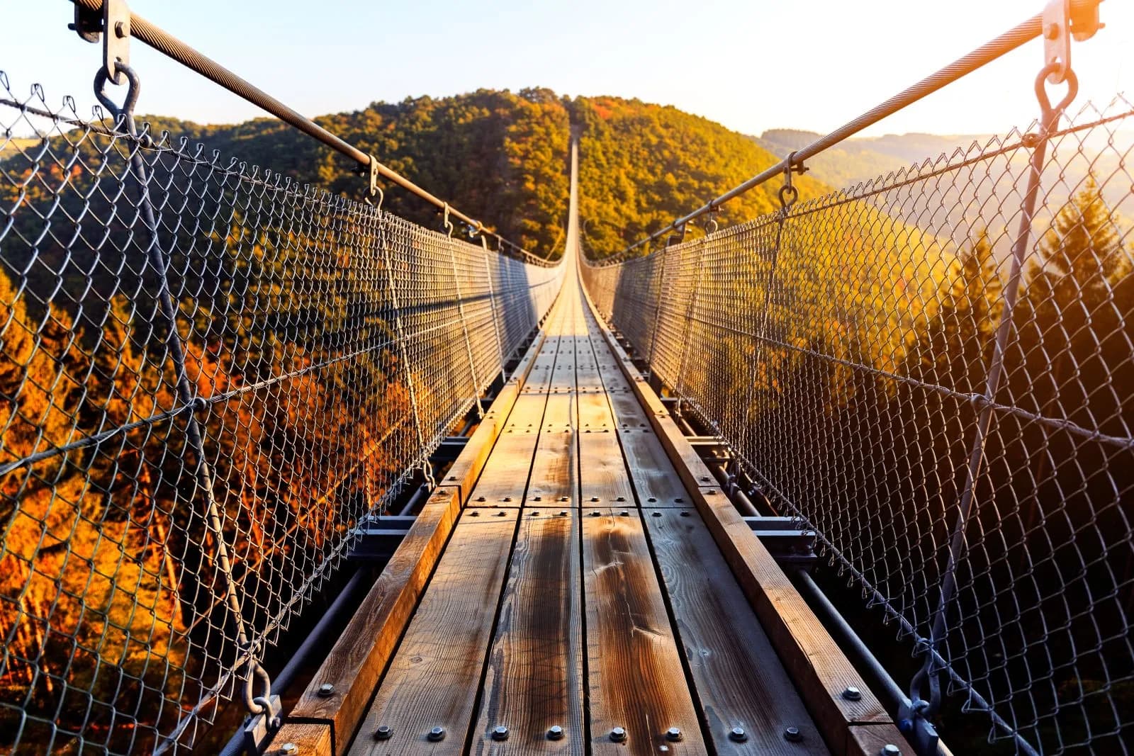 Hängeseilbrücke Geierlay