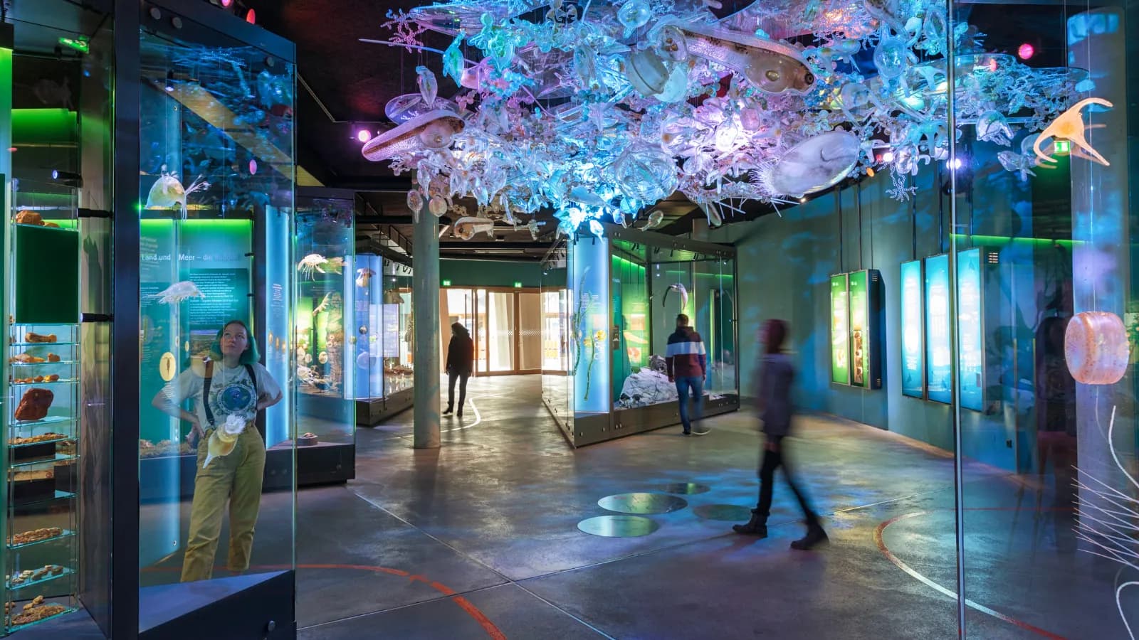 OZEANEUM 3