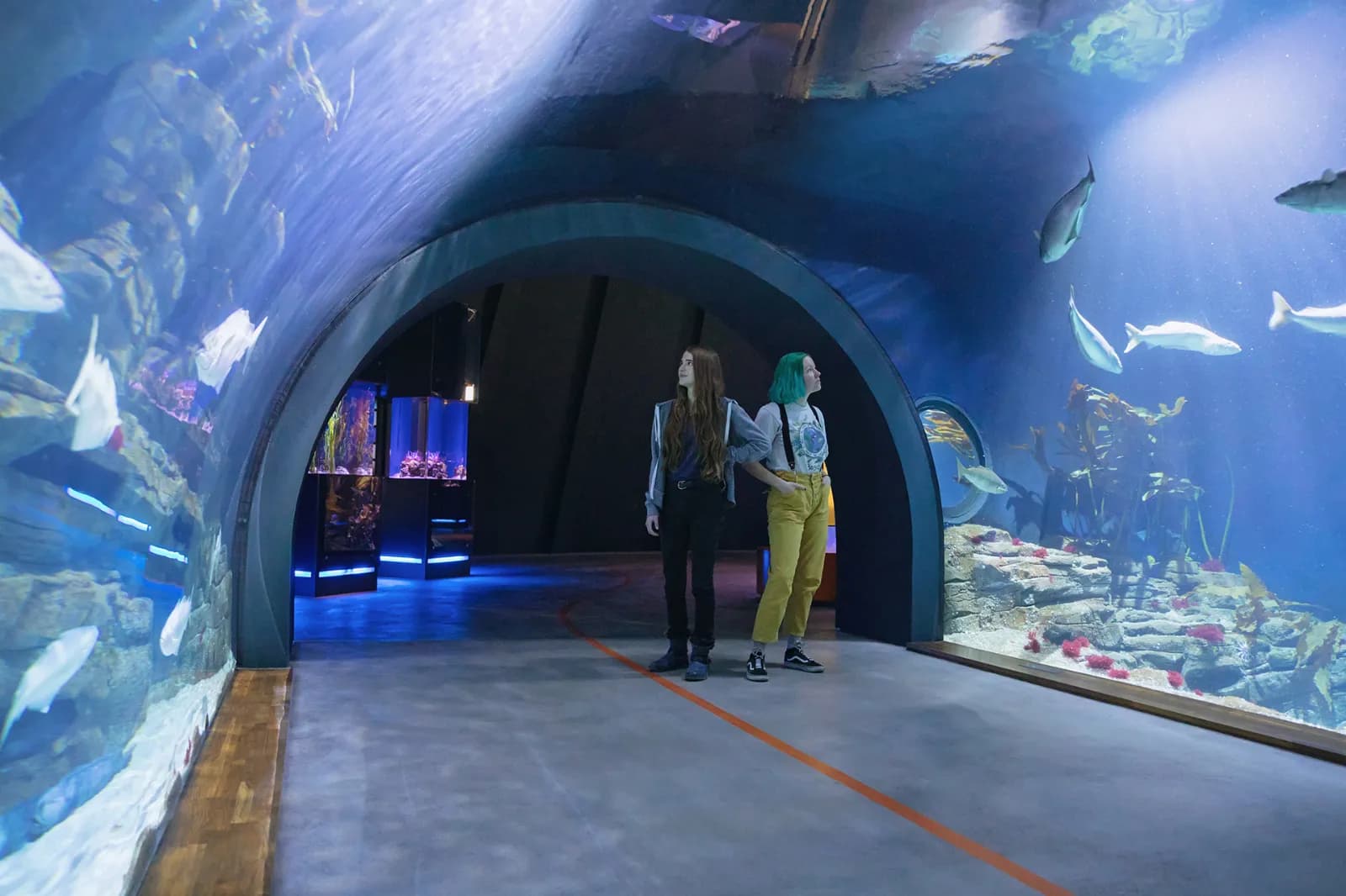 OZEANEUM 4