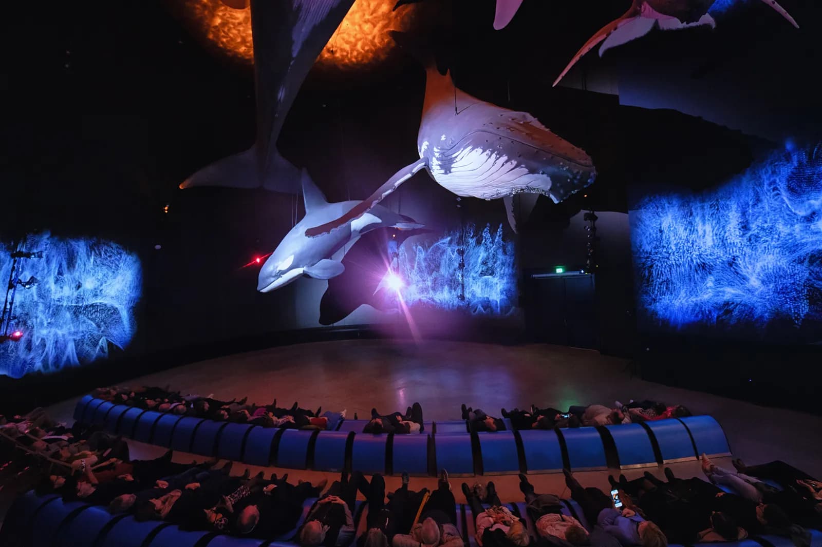 OZEANEUM 2