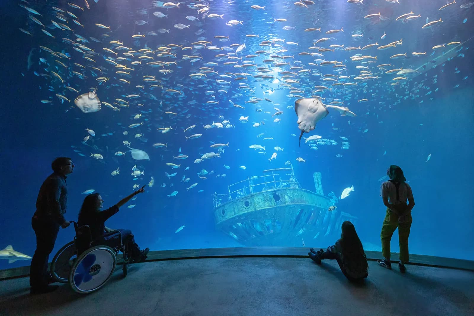 OZEANEUM 1