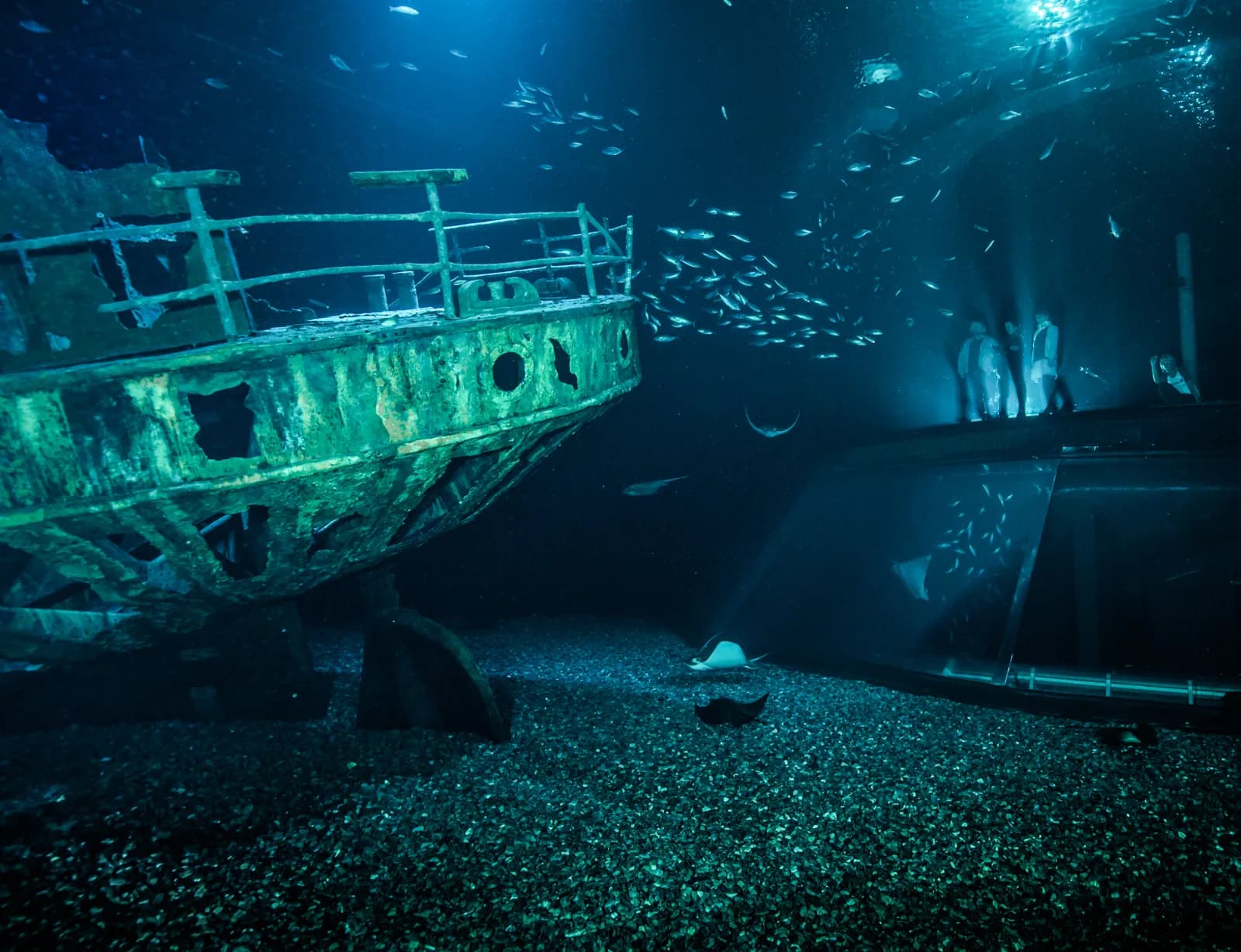OZEANEUM 5